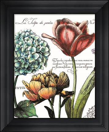 Framed Botanical Postcard Color IV Print