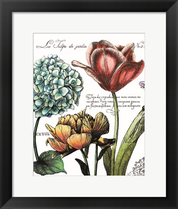 Framed Botanical Postcard Color IV Print