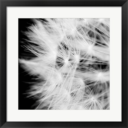 Framed Wish Flower III Print