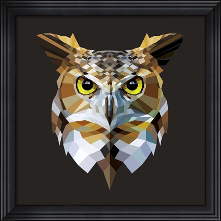 Framed Owl Print