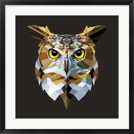 Framed Owl Print