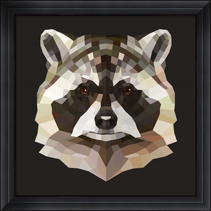 Framed Raccoon Print