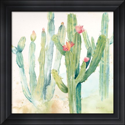 Framed Cactus Garden II Print