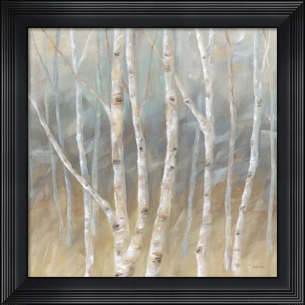 Framed Silver Birch Square Print