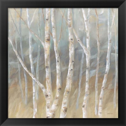 Framed Silver Birch Square Print