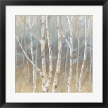 Framed Silver Birch Square Print