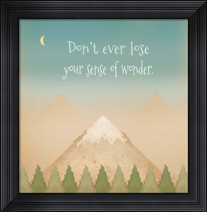 Framed Sense of Wonder II Print