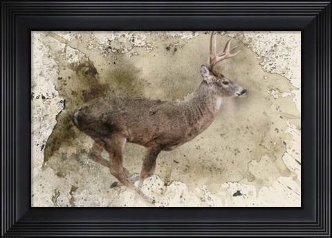 Framed Breaking Limits Print