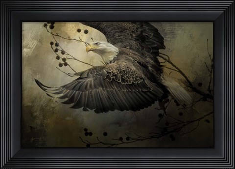 Framed Eagle Rising Print