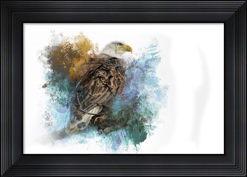 Framed Expressions Bald Eagle Print