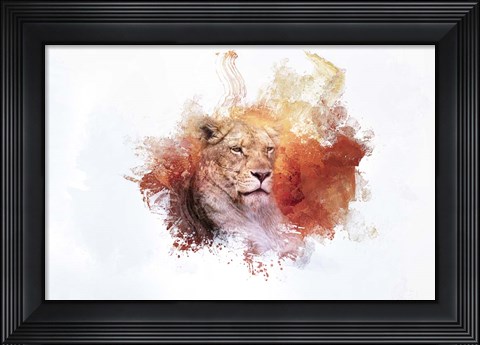 Framed Expressions Lion 2 Print