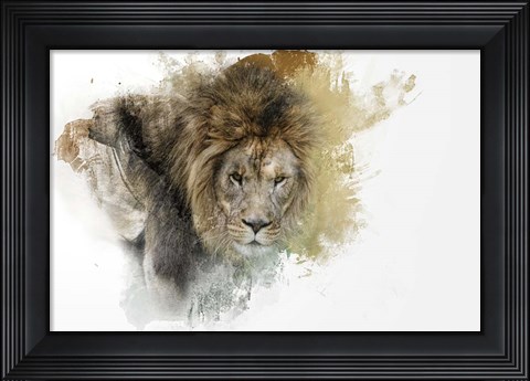 Framed Expressions Lion Print