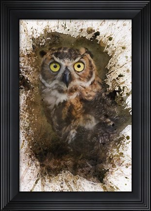 Framed Great Horned Owl In The Cemetery Print