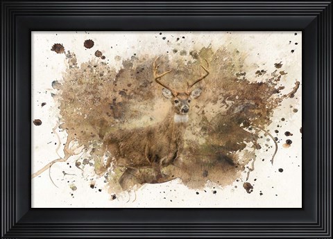 Framed Looking For Her Print