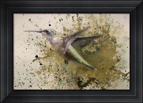 Framed On The Fly Print