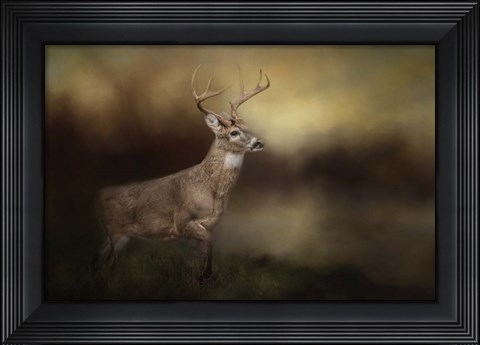 Framed Streamside Buck Print