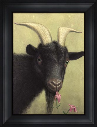 Framed Black Goat Enjoying a Pink Flower Print