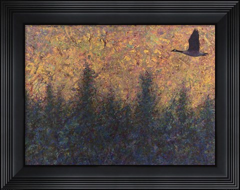 Framed Solitary Goose Print