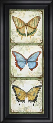 Framed Butterflies Print