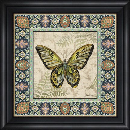 Framed Vintage Butterfly Print