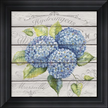 Framed Blue Hydrangeas Print
