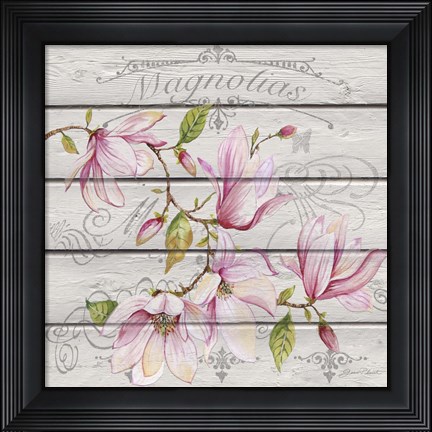 Framed Pink Magnolias I Print