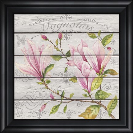 Framed Pink Magnolias II Print