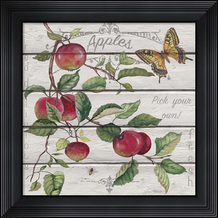 Framed Red Delicious Apples Print