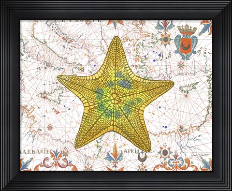 Framed Nautical Treasures-J Print