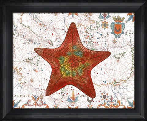 Framed Nautical Treasures-K Print
