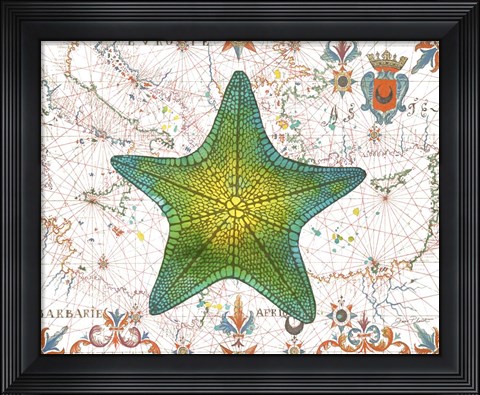 Framed Nautical Treasures-L Print