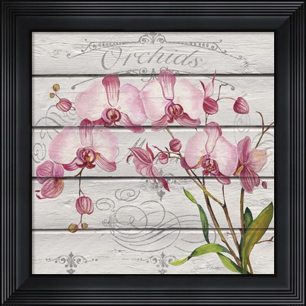 Framed Pink Orchids Print