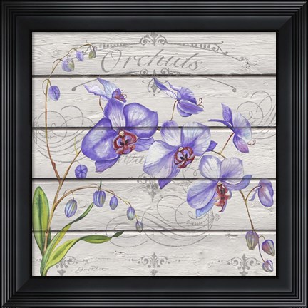 Framed Purple Orchids Print