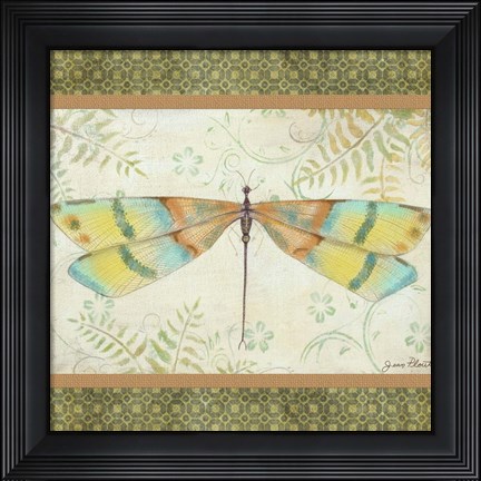 Framed Lebellule-B Print
