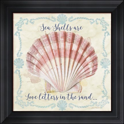 Framed Sea Shells  -  A Print