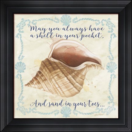 Framed Sea Shells  -  B Print