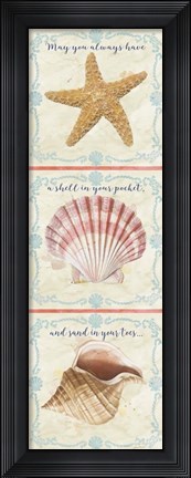 Framed Sea Shells  -  D Print