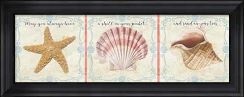 Framed Sea Shells  -  E Print