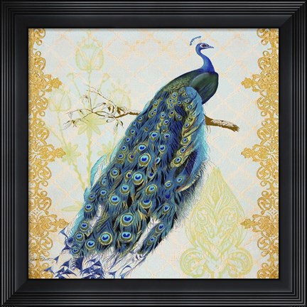 Framed Beautiful Peacock  -  A Print
