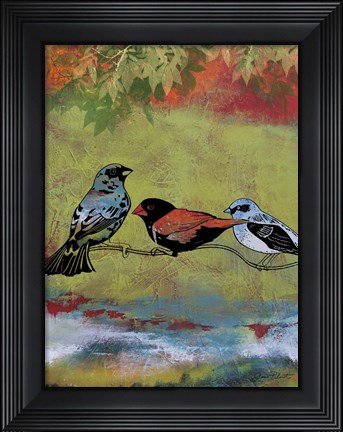 Framed Birds In The Valley  -  B Print