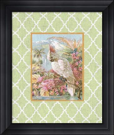 Framed Cockatiel Beauty  -  A  -  Green Print