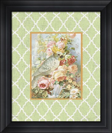 Framed Cockatiel Beauty  -  B  -  Green Print