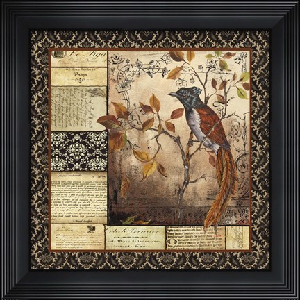 Framed Paradise Flycatcher Collage Print