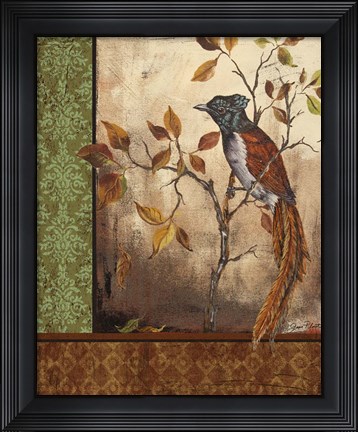 Framed Paradise Flycatcher Print
