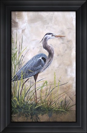 Framed In The Reeds - Blue Heron - A Print