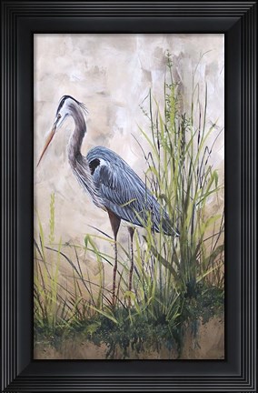 Framed In The Reeds - Blue Heron - B Print