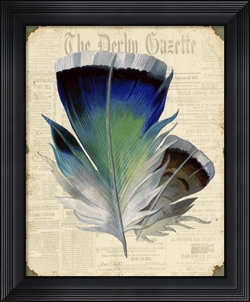 Framed Elegant Feather - A Print