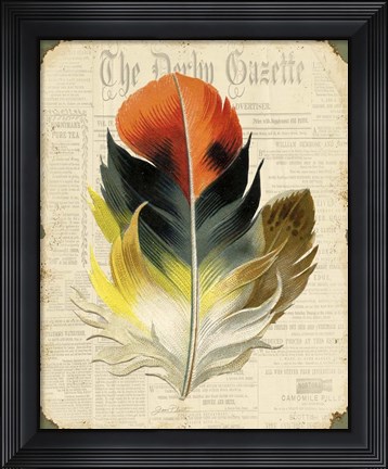 Framed Elegant Feather - C Print