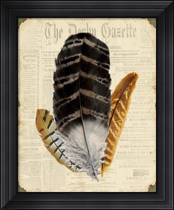 Framed Elegant Feather - D Print