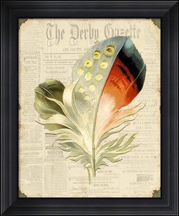 Framed Elegant Feather - E Print